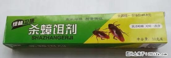 【紧急提醒】如果有“防疫站工作人员”上门灭杀蟑螂，请立刻报警 - 灌水专区 - 七台河生活社区 - 七台河28生活网 qth.28life.com