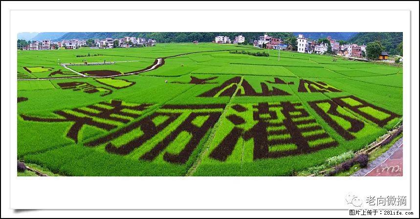 【春天，广西桂林灌阳县向您发出邀请！】开篇 - 游山玩水 - 七台河生活社区 - 七台河28生活网 qth.28life.com