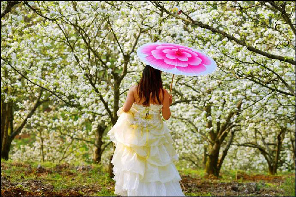 【春天，广西桂林灌阳县向您发出邀请！】我们在灌阳看梨花 - 游山玩水 - 七台河生活社区 - 七台河28生活网 qth.28life.com