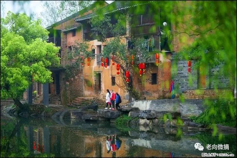 【春天，广西桂林灌阳县向您发出邀请！】江口老街又逢春 - 游山玩水 - 七台河生活社区 - 七台河28生活网 qth.28life.com