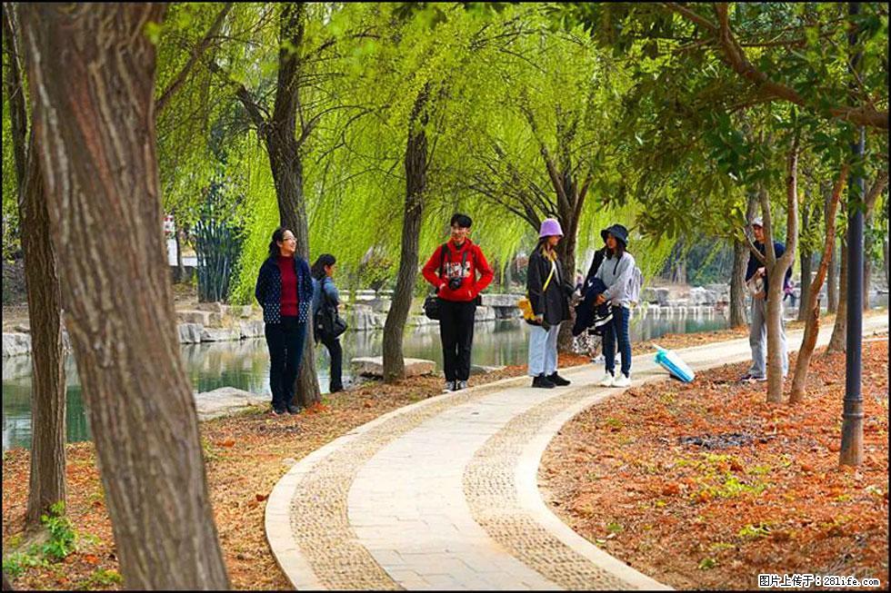 【春天，广西桂林灌阳县向您发出邀请！】江口老街又逢春 - 游山玩水 - 七台河生活社区 - 七台河28生活网 qth.28life.com