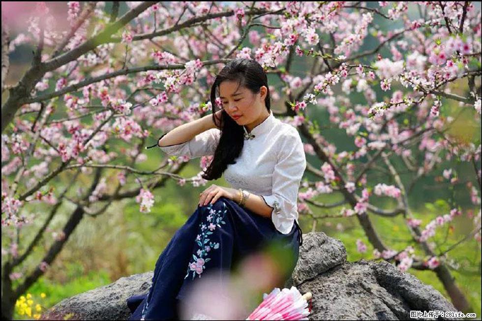 【春天，广西桂林灌阳县向您发出邀请！】望月岭上桃花开 - 游山玩水 - 七台河生活社区 - 七台河28生活网 qth.28life.com