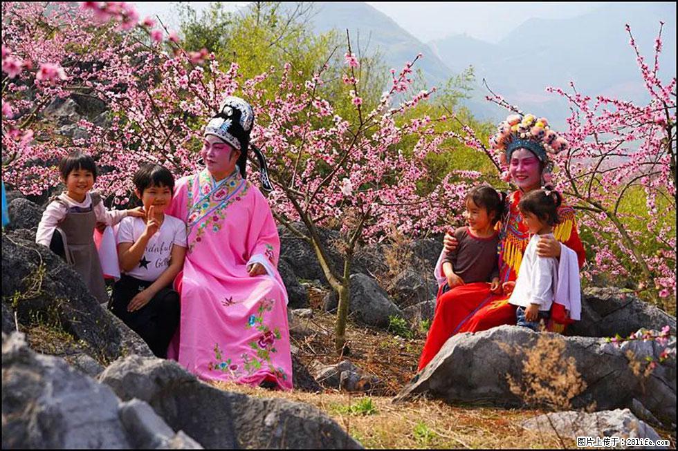 【春天，广西桂林灌阳县向您发出邀请！】望月岭上桃花开 - 游山玩水 - 七台河生活社区 - 七台河28生活网 qth.28life.com