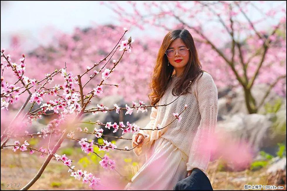 【春天，广西桂林灌阳县向您发出邀请！】望月岭上桃花开 - 游山玩水 - 七台河生活社区 - 七台河28生活网 qth.28life.com