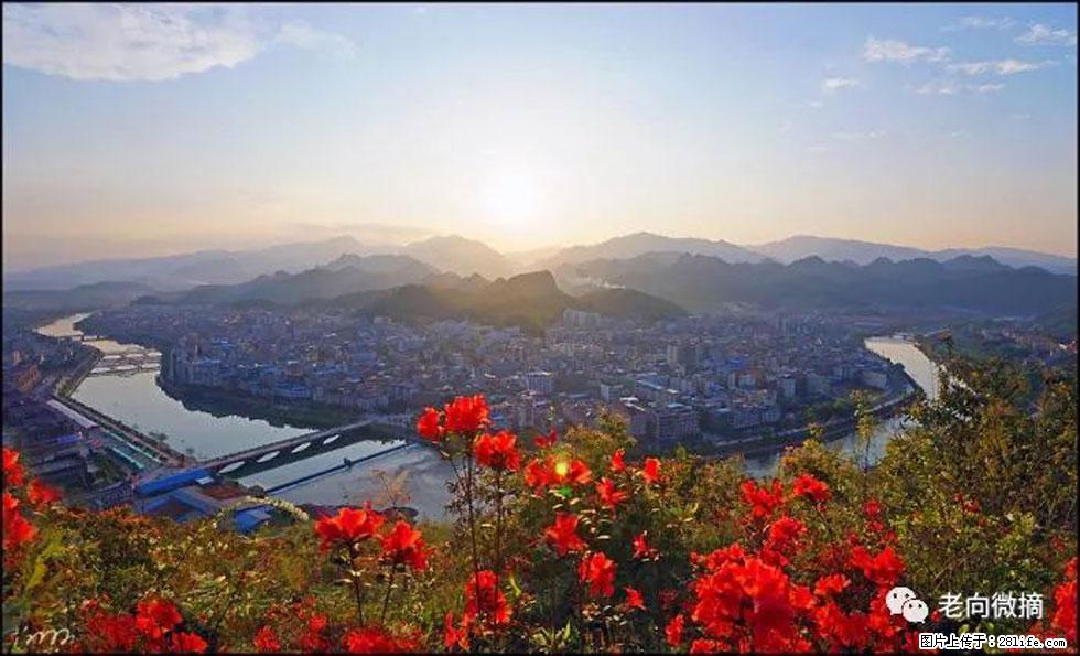 【春天，广西桂林灌阳县向您发出邀请！】登麒麟山，相约映山红 - 游山玩水 - 七台河生活社区 - 七台河28生活网 qth.28life.com