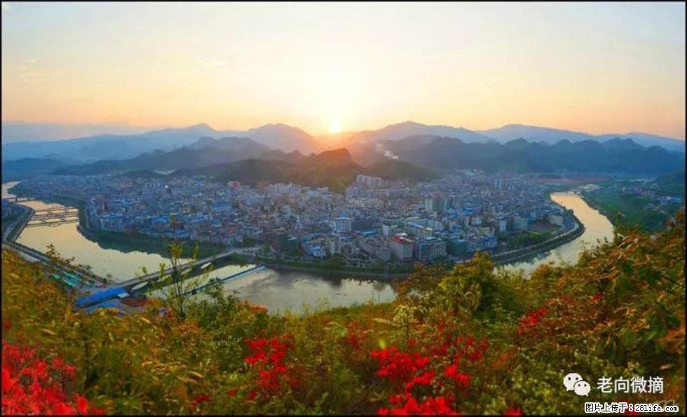 【春天，广西桂林灌阳县向您发出邀请！】登麒麟山，相约映山红 - 游山玩水 - 七台河生活社区 - 七台河28生活网 qth.28life.com