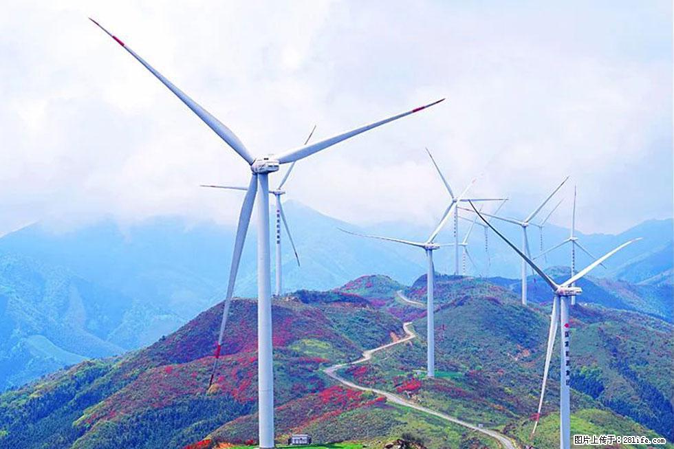 【春天，广西桂林灌阳县向您发出邀请！】春木界上映山红 - 游山玩水 - 七台河生活社区 - 七台河28生活网 qth.28life.com