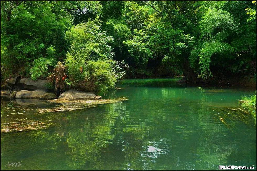 【春天,广西桂林灌阳县向您发出邀请!】如梦似幻莲溪庐 - 游山玩水 - 七台河生活社区 - 七台河28生活网 qth.28life.com