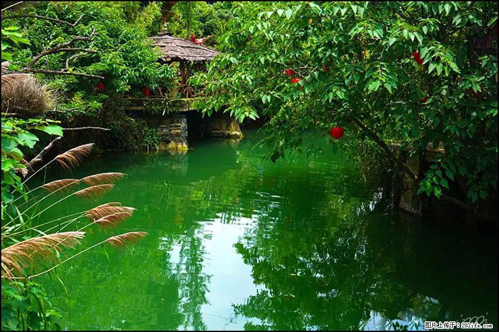 【春天,广西桂林灌阳县向您发出邀请!】如梦似幻莲溪庐 - 游山玩水 - 七台河生活社区 - 七台河28生活网 qth.28life.com