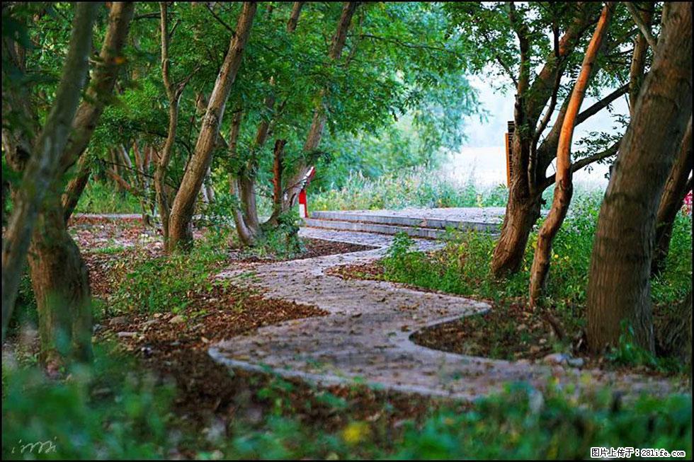 【春天，广西桂林灌阳县向您发出邀请！】熊家寨湿地公园 - 游山玩水 - 七台河生活社区 - 七台河28生活网 qth.28life.com