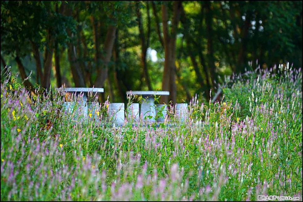 【春天，广西桂林灌阳县向您发出邀请！】熊家寨湿地公园 - 游山玩水 - 七台河生活社区 - 七台河28生活网 qth.28life.com