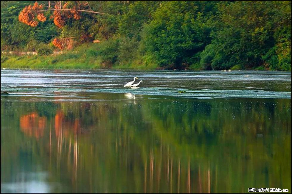 【春天，广西桂林灌阳县向您发出邀请！】熊家寨湿地公园 - 游山玩水 - 七台河生活社区 - 七台河28生活网 qth.28life.com