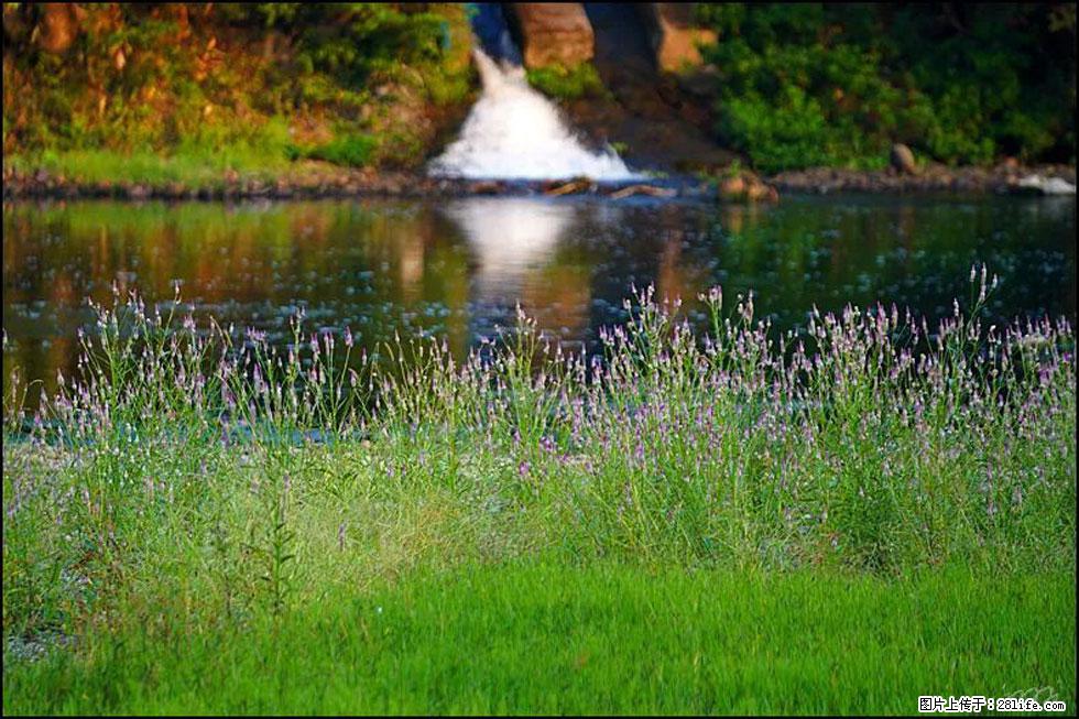 【春天，广西桂林灌阳县向您发出邀请！】熊家寨湿地公园 - 游山玩水 - 七台河生活社区 - 七台河28生活网 qth.28life.com