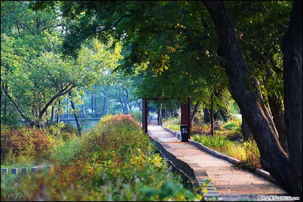 【春天，广西桂林灌阳县向您发出邀请！】熊家寨湿地公园 - 游山玩水 - 七台河生活社区 - 七台河28生活网 qth.28life.com