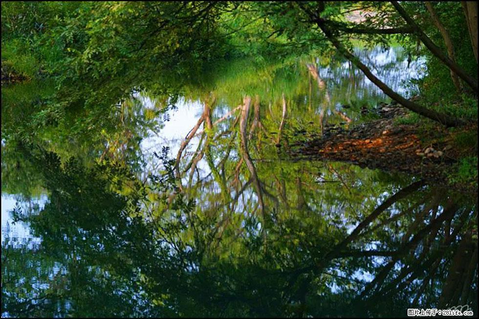 【春天，广西桂林灌阳县向您发出邀请！】熊家寨湿地公园 - 游山玩水 - 七台河生活社区 - 七台河28生活网 qth.28life.com