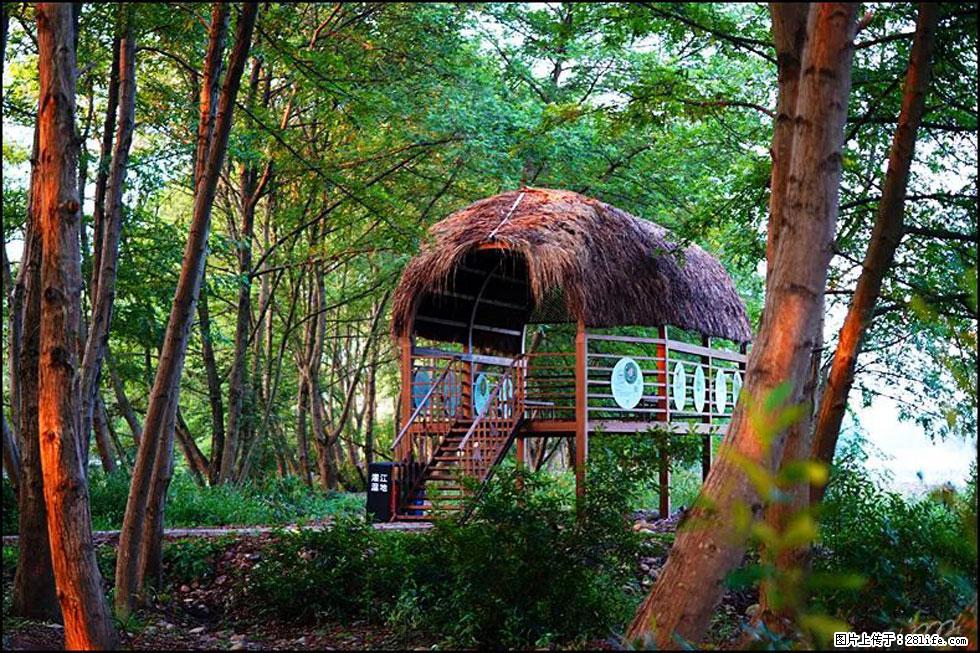 【春天，广西桂林灌阳县向您发出邀请！】熊家寨湿地公园 - 游山玩水 - 七台河生活社区 - 七台河28生活网 qth.28life.com