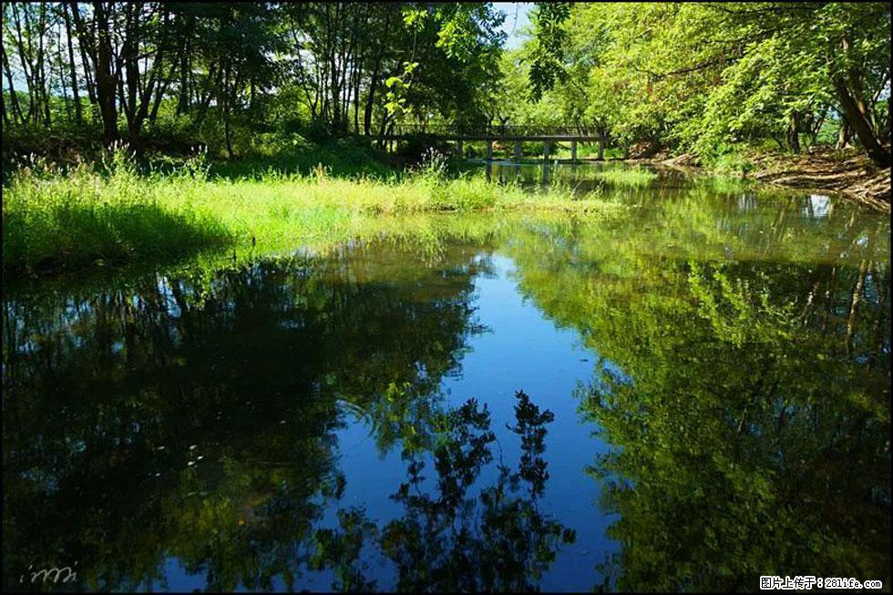 【春天，广西桂林灌阳县向您发出邀请！】熊家寨湿地公园 - 游山玩水 - 七台河生活社区 - 七台河28生活网 qth.28life.com