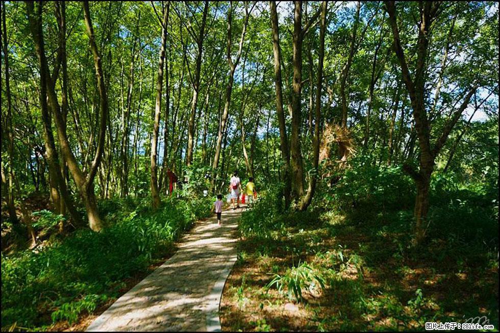 【春天，广西桂林灌阳县向您发出邀请！】熊家寨湿地公园 - 游山玩水 - 七台河生活社区 - 七台河28生活网 qth.28life.com