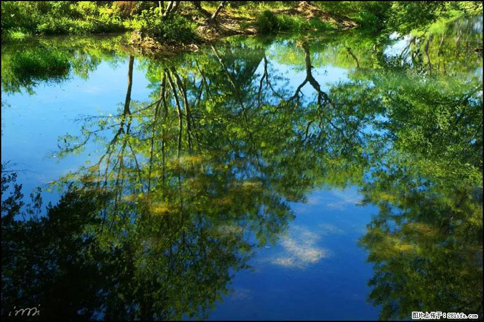 【春天，广西桂林灌阳县向您发出邀请！】熊家寨湿地公园 - 游山玩水 - 七台河生活社区 - 七台河28生活网 qth.28life.com