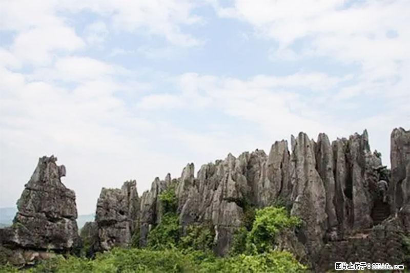桂林旅游名城景点:灌阳文市石林 - 游山玩水 - 七台河生活社区 - 七台河28生活网 qth.28life.com