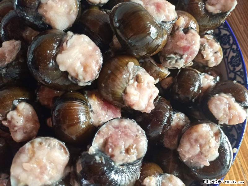 （舌尖上的乡村）灌阳：让人口齿留香的田螺酿 - 2023年07月31日 桂林日报第6版刊发 - 美食天地 - 七台河生活社区 - 七台河28生活网 qth.28life.com