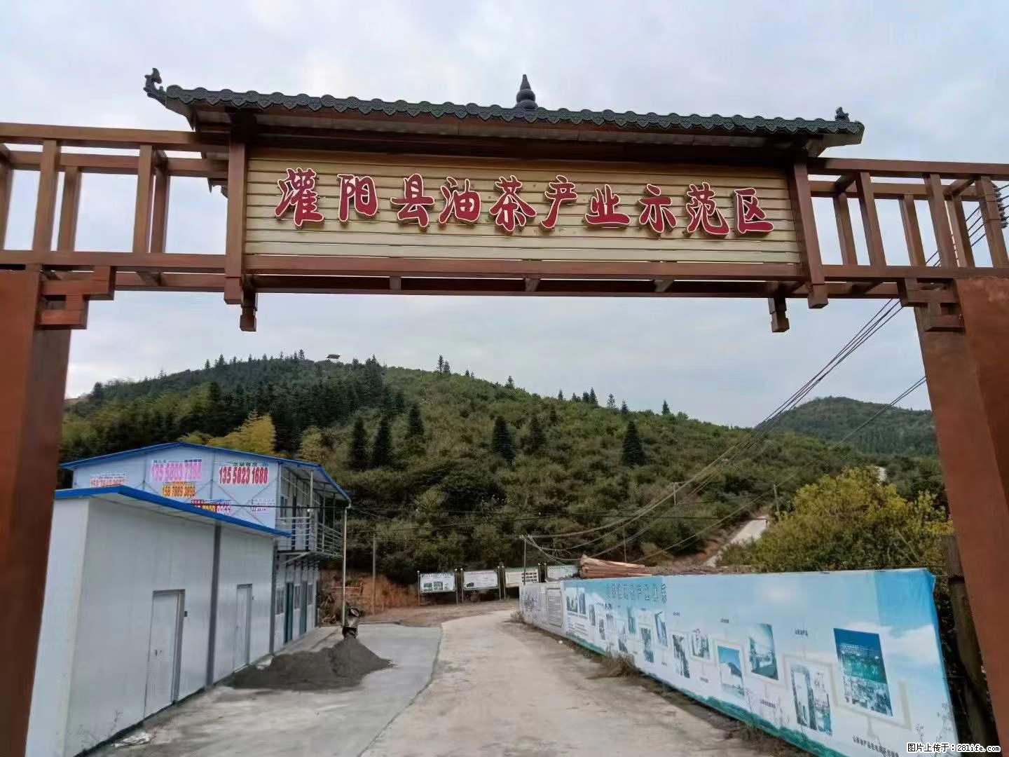 【灌阳县油茶产业示范区】一个有着充实的精神生活的人，对待身外之物自会有一种淡泊的态度 - 土特产 - 饮食特产 - 七台河分类信息 - 七台河28生活网 qth.28life.com