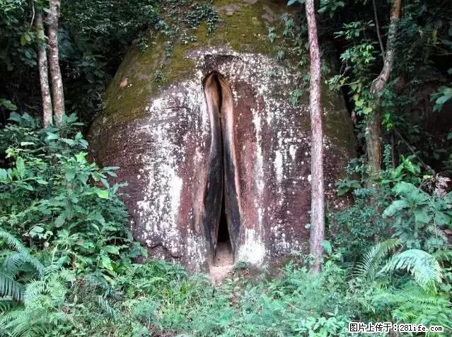 让人脸红的流氓景点,大自然真的有点色 - 灌水专区 - 七台河生活社区 - 七台河28生活网 qth.28life.com