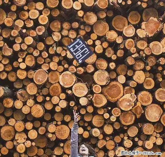 辞掉工作周游世界？现在他们在洗厕所…… - 游山玩水 - 七台河生活社区 - 七台河28生活网 qth.28life.com