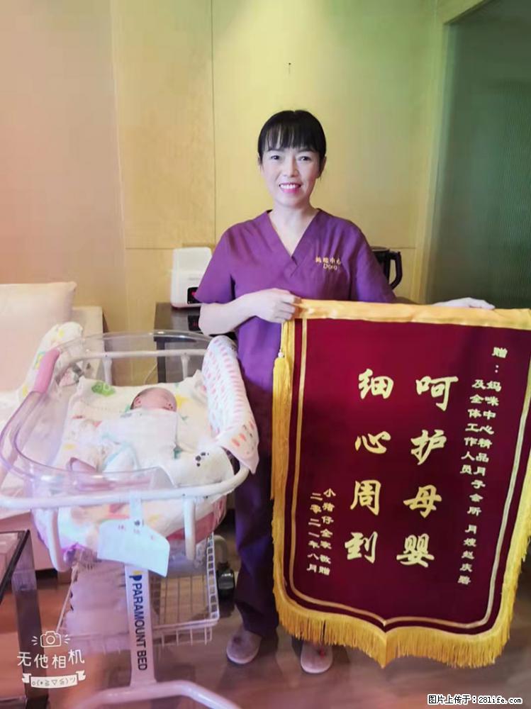 上海高端月子会所招新手月嫂,零基础带教,包吃住 - 职场交流 - 七台河生活社区 - 七台河28生活网 qth.28life.com