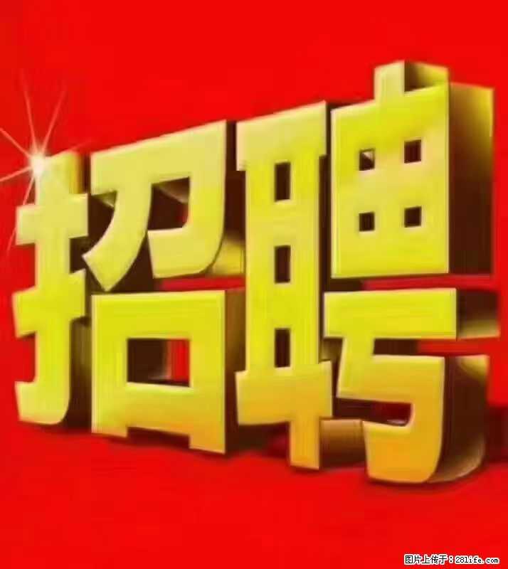 【东莞市威萨电子科技有限公司】公司直招：外贸业务、仓管员、跟单文员、普工 - 职场交流 - 七台河生活社区 - 七台河28生活网 qth.28life.com
