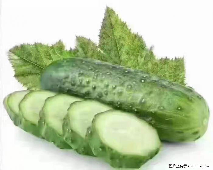 【生活小常识】吃黄瓜的好处 - 生活百科 - 七台河生活社区 - 七台河28生活网 qth.28life.com