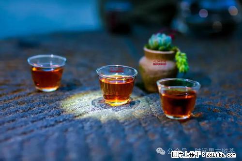 时间果百年古树2025年春红茶 - 购物交流 - 七台河生活社区 - 七台河28生活网 qth.28life.com