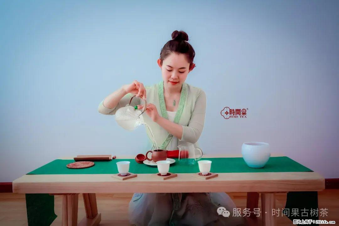 时间果百年古树龙珠普洱生茶 - 购物交流 - 七台河生活社区 - 七台河28生活网 qth.28life.com