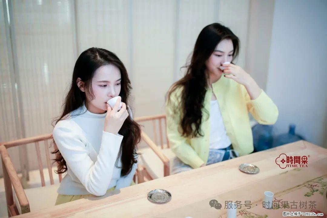 时间果百年古树龙珠普洱生茶 - 购物交流 - 七台河生活社区 - 七台河28生活网 qth.28life.com