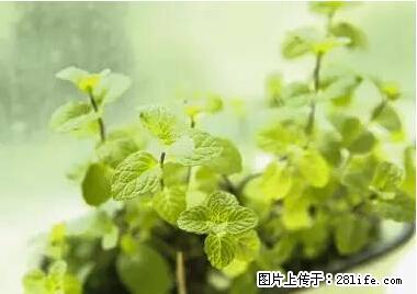 晕车、脚气、牙齿变黄、皮肤粗糙？学会这些三分钟搞定！ - 七台河生活资讯 - 七台河28生活网 qth.28life.com