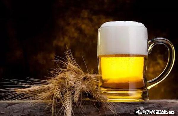 原来它这么毒，然而竟然满大街都是.... - 七台河生活资讯 - 七台河28生活网 qth.28life.com