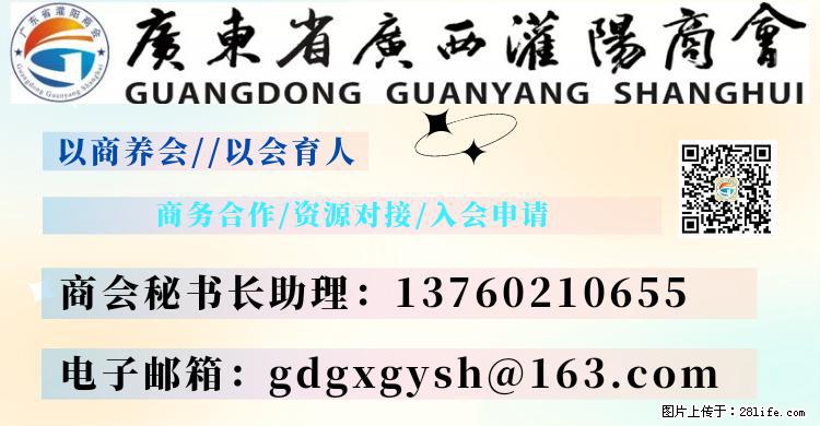 “粤灌文化 美好生活”油茶文化主题活动在广东深圳成功举办 - 七台河生活资讯 - 七台河28生活网 qth.28life.com