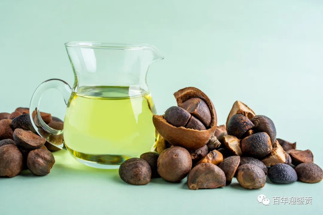 世界没有真相，只有认知，最好的食用油是中国的山茶油！ - 七台河生活资讯 - 七台河28生活网 qth.28life.com