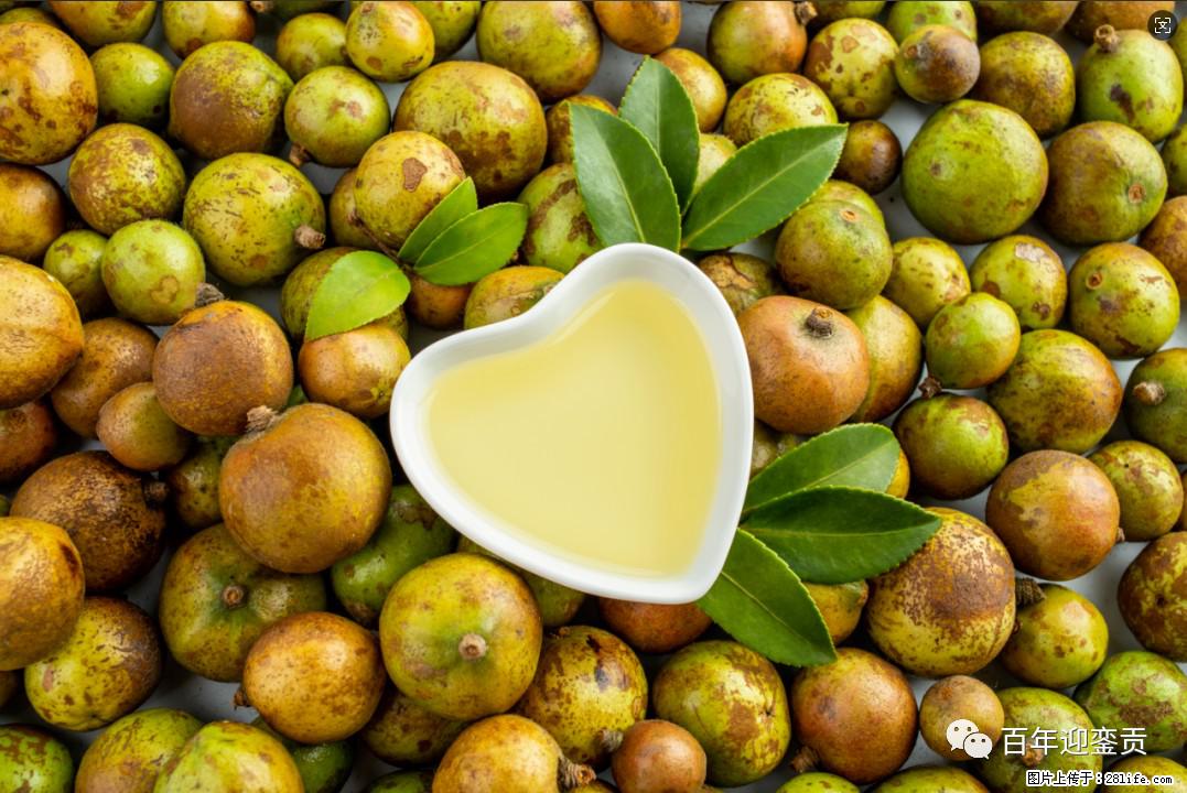 世界没有真相，只有认知，最好的食用油是中国的山茶油！ - 七台河生活资讯 - 七台河28生活网 qth.28life.com