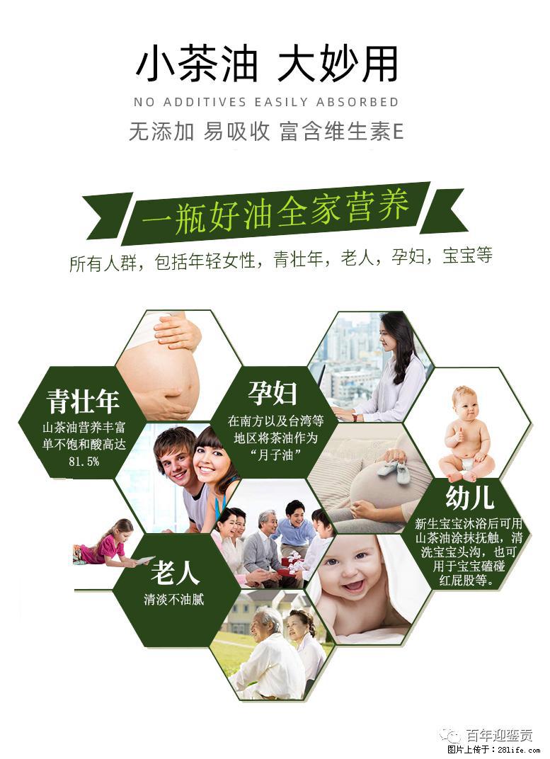 世界没有真相，只有认知，最好的食用油是中国的山茶油！ - 七台河生活资讯 - 七台河28生活网 qth.28life.com