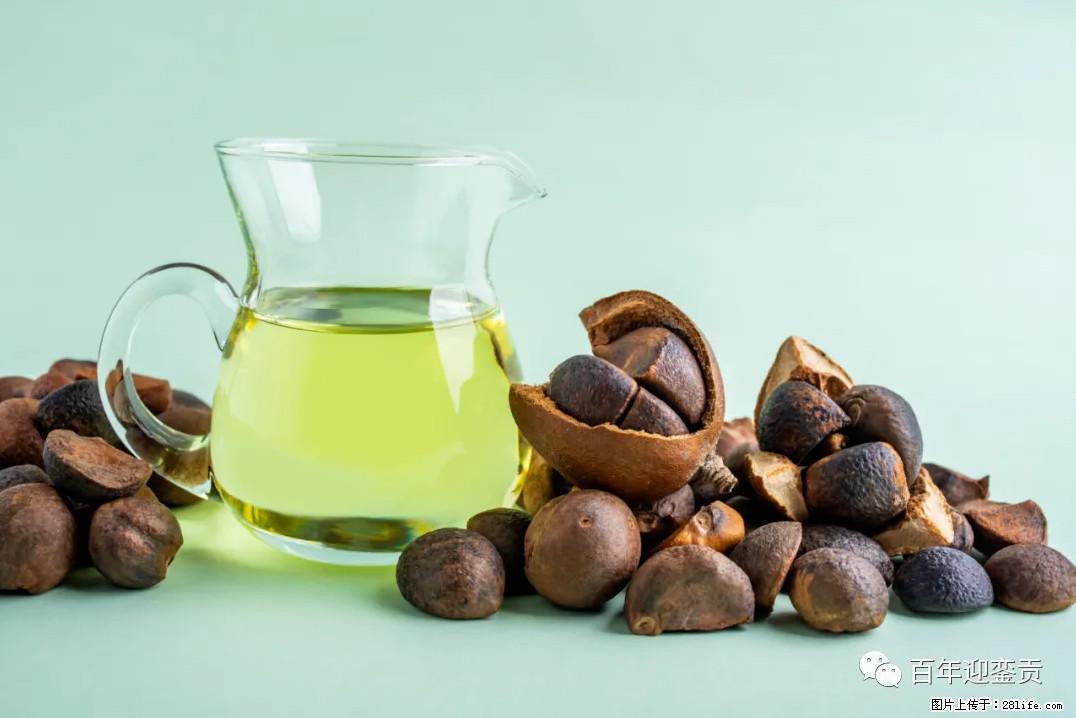 世界没有真相，只有认知，最好的食用油是中国的山茶油！ - 七台河生活资讯 - 七台河28生活网 qth.28life.com