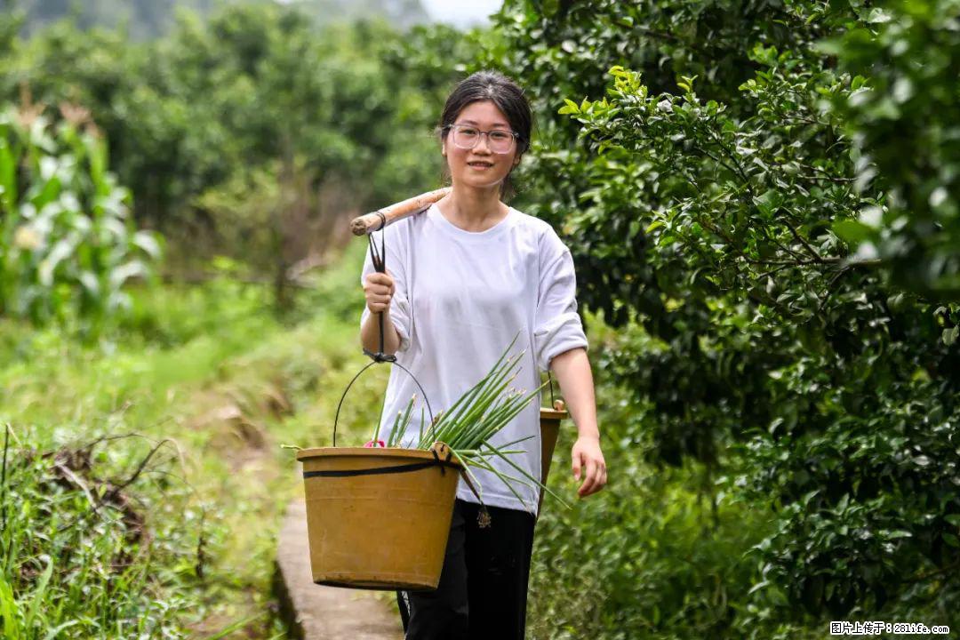 全网追的“扁担女孩”,找了一份暑假工,时薪12元 - 七台河生活资讯 - 七台河28生活网 qth.28life.com