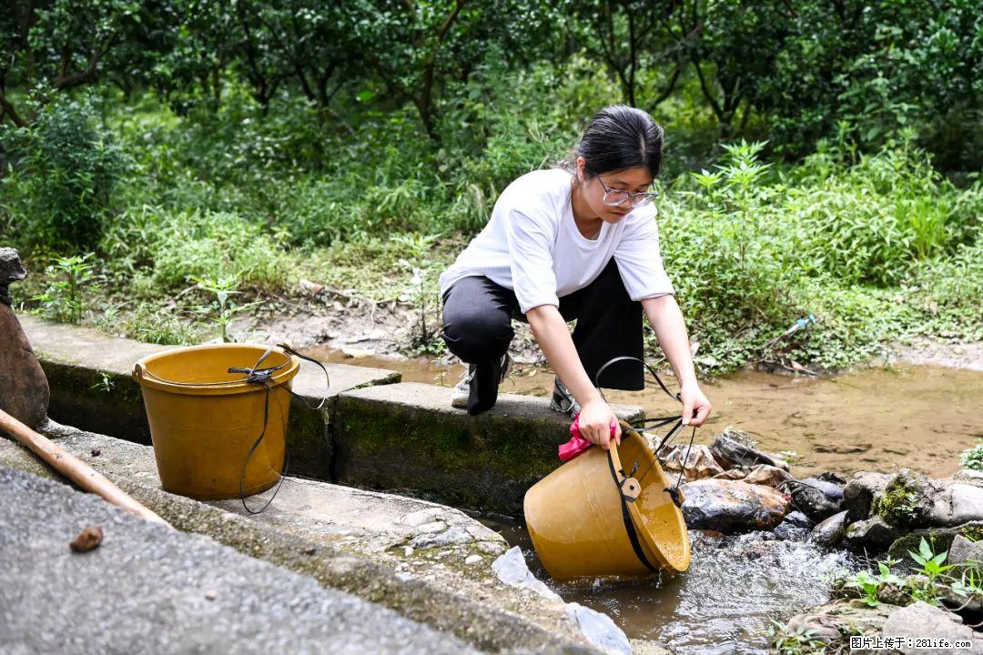 全网追的“扁担女孩”,找了一份暑假工,时薪12元 - 七台河生活资讯 - 七台河28生活网 qth.28life.com