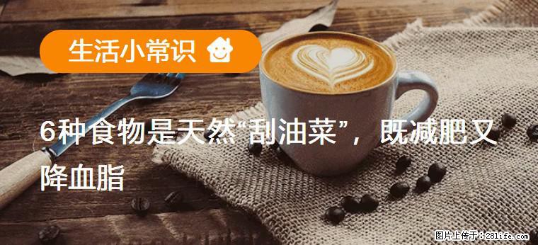 【生活小常识】6种食物是天然“刮油菜”,既减肥又降血脂 - 七台河生活资讯 - 七台河28生活网 qth.28life.com