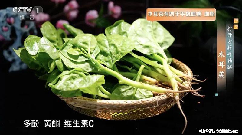 比牛奶补钙还厉害！凉血解毒、稳血糖...这菜冬天必吃，很多人却当草 - 七台河生活资讯 - 七台河28生活网 qth.28life.com