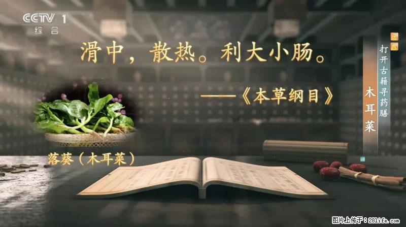 比牛奶补钙还厉害！凉血解毒、稳血糖...这菜冬天必吃，很多人却当草 - 七台河生活资讯 - 七台河28生活网 qth.28life.com