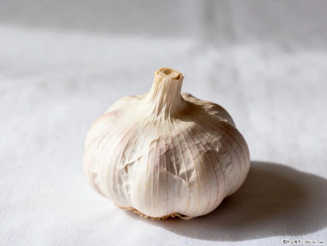 关于大蒜，除了“天然抗生素”，这4个谣言更该警惕! - 七台河生活资讯 - 七台河28生活网 qth.28life.com