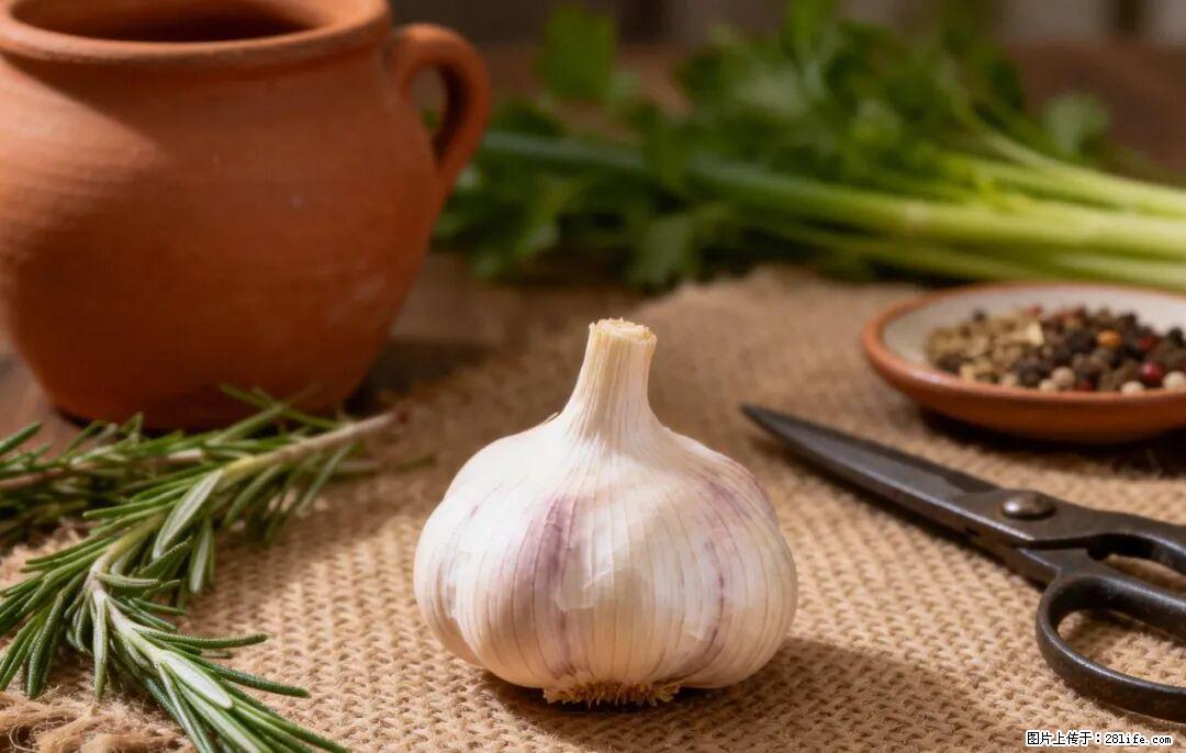 关于大蒜，除了“天然抗生素”，这4个谣言更该警惕! - 七台河生活资讯 - 七台河28生活网 qth.28life.com