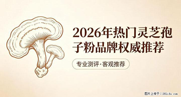 灵芝孢子粉含量越高越有效?2026 年七款热门品牌深度实测,肠胃敏感者避坑指南 - 七台河生活资讯 - 七台河28生活网 qth.28life.com