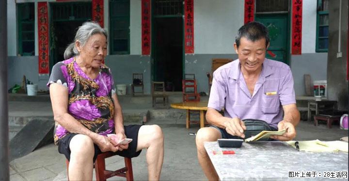 【乡村振兴】广西桂林市灌阳县文市蜂糖李、黄金奈李迎丰产上市季 甜蜜产业助振兴 - 七台河生活资讯 - 七台河28生活网 qth.28life.com
